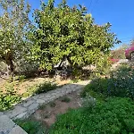 Apartmán Zeytin *