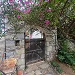 Zeytin Datça