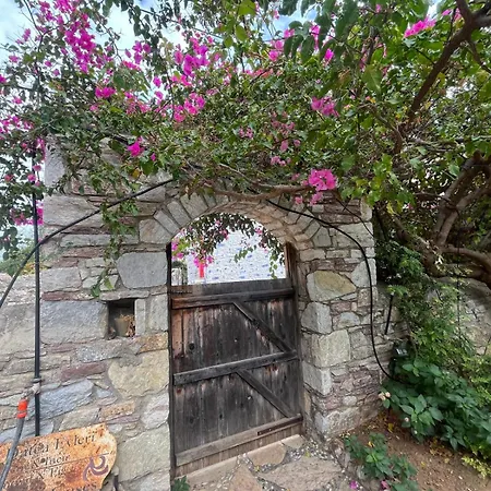 Zeytin * Datça