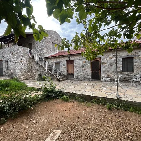 Apartmán Zeytin *