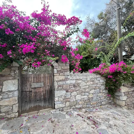 Zeytin Datça