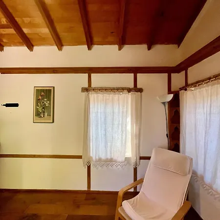 Zeytin Datça