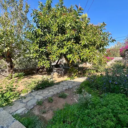 Apartamento Zeytin *