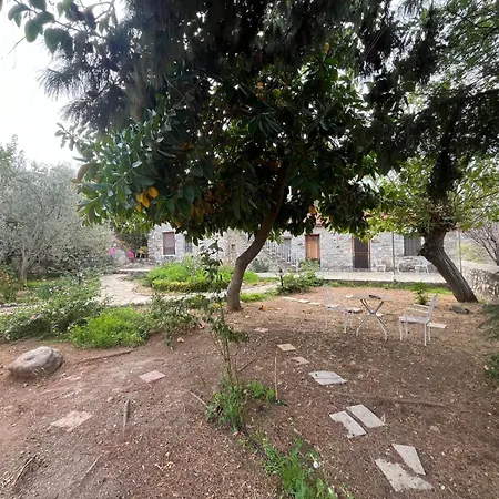 Zeytin Appartamento