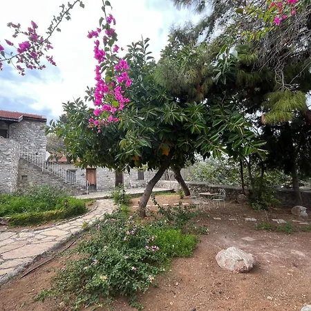 Zeytin Διαμέρισμα Datca