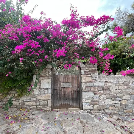 Zeytin Διαμέρισμα