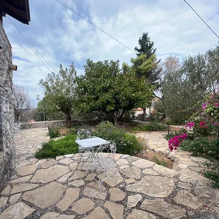 Διαμέρισμα Zeytin *