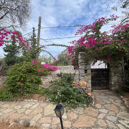 Apartamento Zeytin Datça