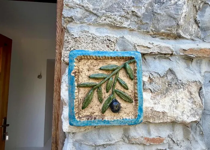 Zeytin Διαμέρισμα