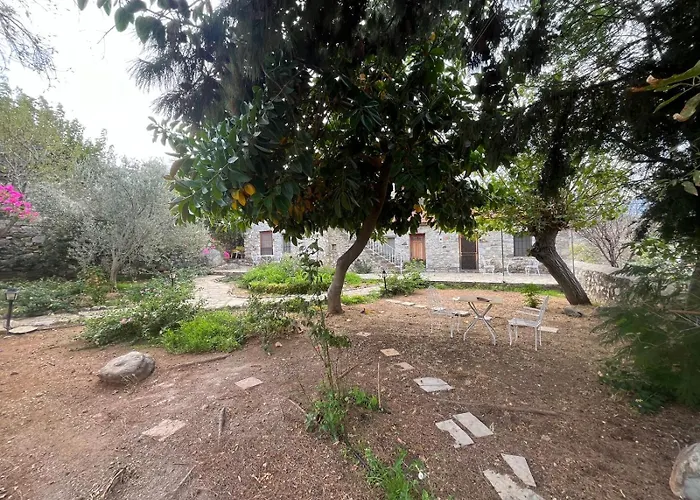 Zeytin Διαμέρισμα