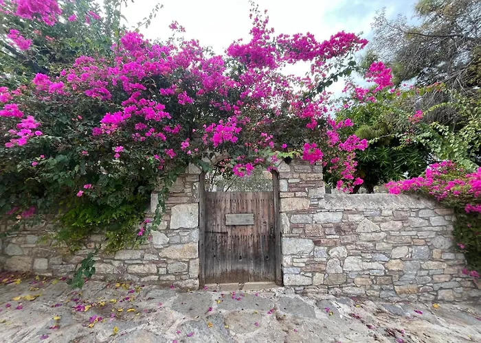 Zeytin Διαμέρισμα