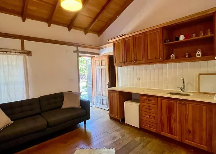 Διαμέρισμα Zeytin *